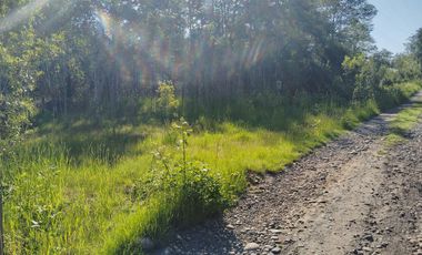 PARCELA A 17 KM DE VILLARRICA CON ORILLA RIO TOLTEN, 5.678 M2, CAMINO VILLARRICA-FREIRE, SECTOR ENTRE RIOS
