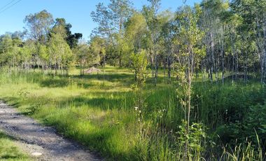 PARCELA A 17 KM DE VILLARRICA CON ORILLA RIO TOLTEN, 5.678 M2, CAMINO VILLARRICA-FREIRE, SECTOR ENTRE RIOS