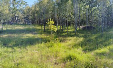 PARCELA A 17 KM DE VILLARRICA CON ORILLA RIO TOLTEN, 5.678 M2, CAMINO VILLARRICA-FREIRE, SECTOR ENTRE RIOS
