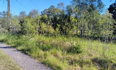 PARCELA A 17 KM DE VILLARRICA CON ORILLA RIO TOLTEN, 5.678 M2, CAMINO VILLARRICA-FREIRE, SECTOR ENTRE RIOS