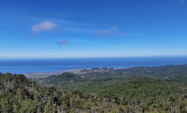 50-Hectare Property for Sale – Lenca, Puerto Montt, Chile