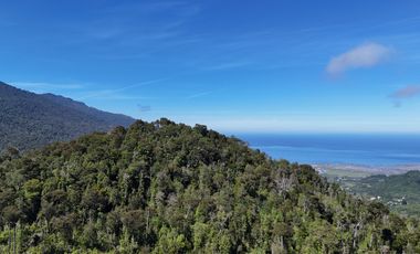 50-Hectare Property for Sale – Lenca, Puerto Montt, Chile
