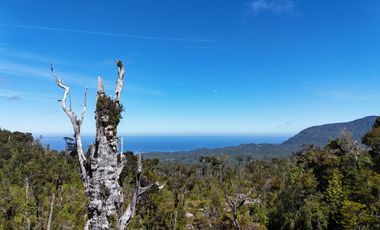 50-Hectare Property for Sale – Lenca, Puerto Montt, Chile