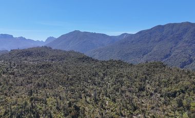 50-Hectare Property for Sale – Lenca, Puerto Montt, Chile