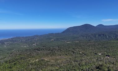 50-Hectare Property for Sale – Lenca, Puerto Montt, Chile