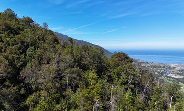 50-Hectare Property for Sale – Lenca, Puerto Montt, Chile