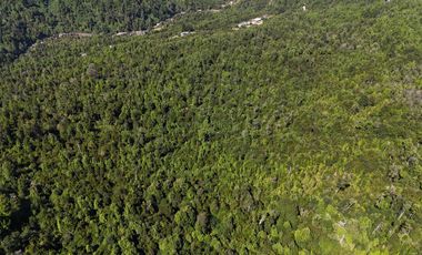 50-Hectare Property for Sale – Lenca, Puerto Montt, Chile