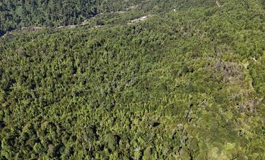 50-Hectare Property for Sale – Lenca, Puerto Montt, Chile