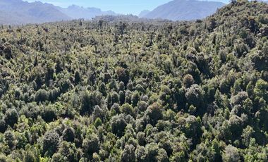 50-Hectare Property for Sale – Lenca, Puerto Montt, Chile