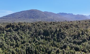 50-Hectare Property for Sale – Lenca, Puerto Montt, Chile