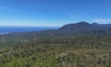 50-Hectare Property for Sale – Lenca, Puerto Montt, Chile