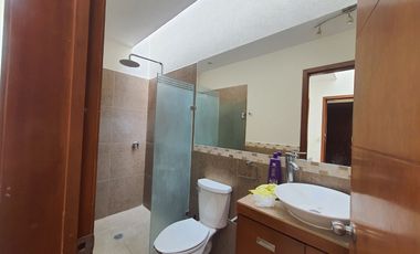 Renta de Casa en Residencial Tulipanes, al Norte de la Ciudad, Vigilancia  las 24 hrs