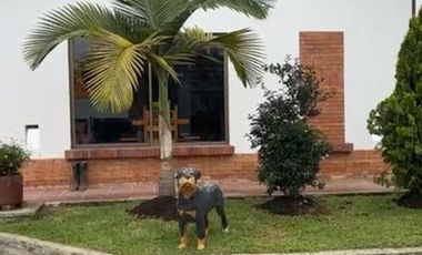 VENDO HERMOSA CASA CAMPESTRE EN SILVANIA, CUNDINAMARCA