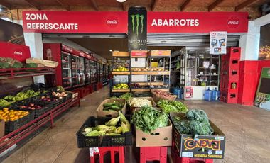 Se Vende Local + Terreno Habitacional | Av. La Marina 340 M2. Local Icónico Tatita Jaime