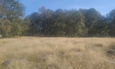 Jilotepec  Aldama  Vendo terreno  Arbolado propio para rancho
