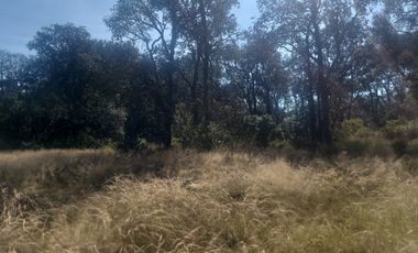 Jilotepec  Aldama  Vendo terreno  Arbolado propio para rancho