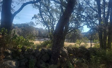 Jilotepec  Aldama  Vendo terreno  Arbolado propio para rancho