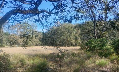 Jilotepec  Aldama  Vendo terreno  Arbolado propio para rancho