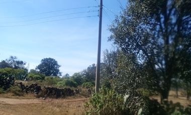 Jilotepec  Aldama  Vendo terreno  Arbolado propio para rancho