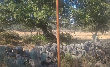 Jilotepec  Aldama  Vendo terreno  Arbolado propio para rancho