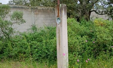 Jilotepec  Aldama  Vendo terreno  Arbolado propio para rancho