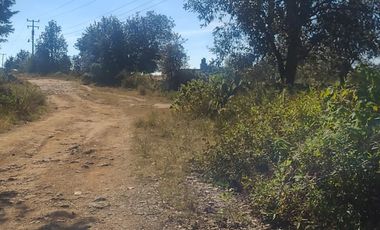 Jilotepec  Aldama  Vendo terreno  Arbolado propio para rancho