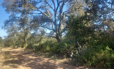 Jilotepec  Aldama  Vendo terreno  Arbolado propio para rancho