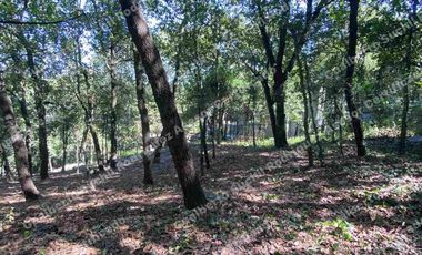 Terreno en Venta en San Pedro