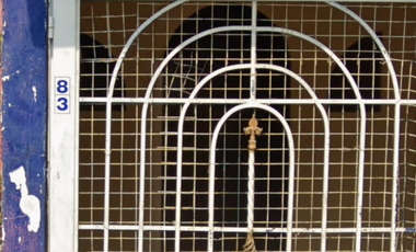 CASA ECONOMICA EN VENTA ¡GRAN OPORTUNIDAD DE INVERSIÓN! Monarca 83, Los Naranjos, La Primavera, 30796 Tapachula de Córdova y Ordóñez, Chis.