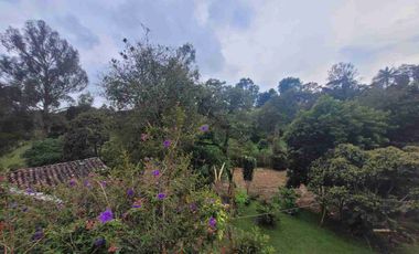 SE ARRIENDA CASA FINCA EN RIONEGRO