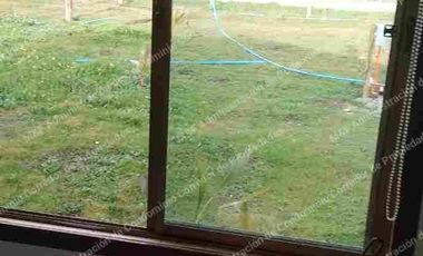 NATURALEZA / VIDA TRANQUILA