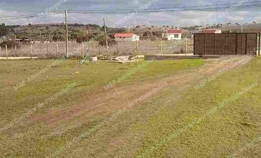 NATURALEZA / VIDA TRANQUILA