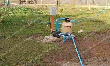 NATURALEZA / VIDA TRANQUILA