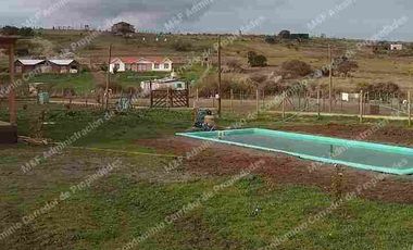 NATURALEZA / VIDA TRANQUILA