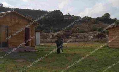 NATURALEZA / VIDA TRANQUILA