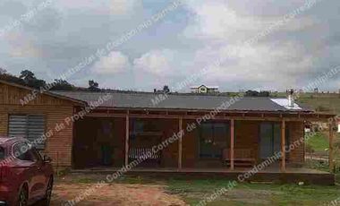 NATURALEZA / VIDA TRANQUILA