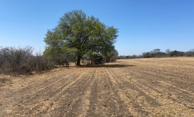VENDO TERRENO RUSTICO EN HIDALGO