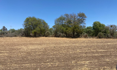 VENDO TERRENO RUSTICO EN HIDALGO