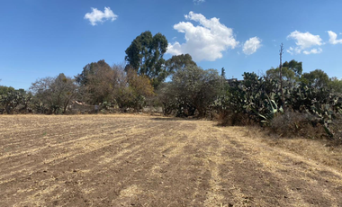 VENDO TERRENO RUSTICO EN HIDALGO