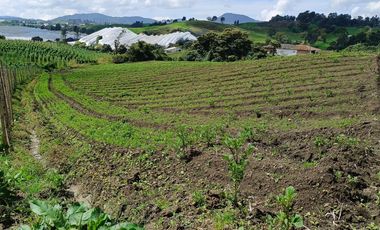 ¡OPORTUNIDAD IMPERDIBLE!  FINCA DE 24 CUADRAS EN LA UNION