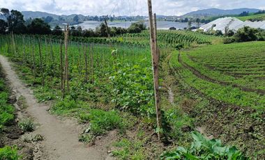 ¡OPORTUNIDAD IMPERDIBLE!  FINCA DE 24 CUADRAS EN LA UNION