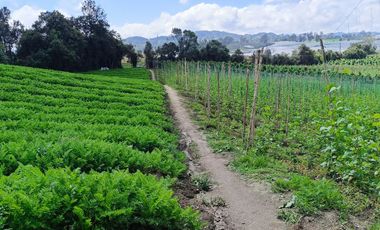 ¡OPORTUNIDAD IMPERDIBLE!  FINCA DE 24 CUADRAS EN LA UNION