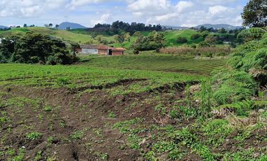 ¡OPORTUNIDAD IMPERDIBLE!  FINCA DE 24 CUADRAS EN LA UNION