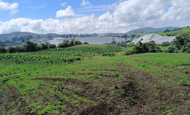 ¡OPORTUNIDAD IMPERDIBLE!  FINCA DE 24 CUADRAS EN LA UNION