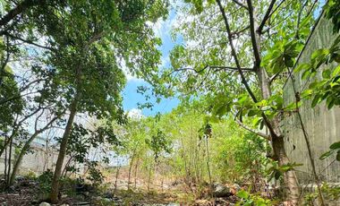 Vacant Lot For Rent at Addition Hills San Juan city