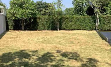 Single storey house for sale at Patta Prime village.