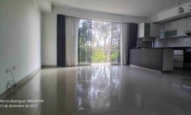 Alquilo departamento frente a parque,San Borja Sur