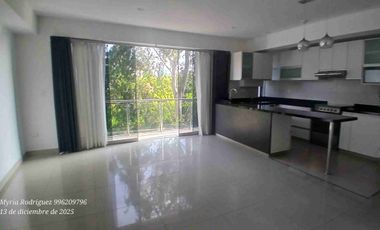 Alquilo departamento frente a parque,San Borja Sur