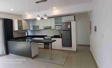 Alquilo departamento frente a parque,San Borja Sur