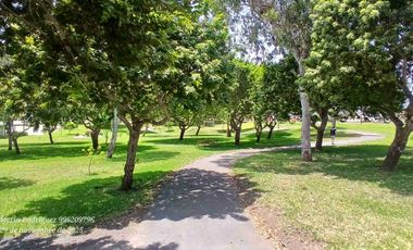 Vendo  Terreno en Los Andenes, San Antonio,